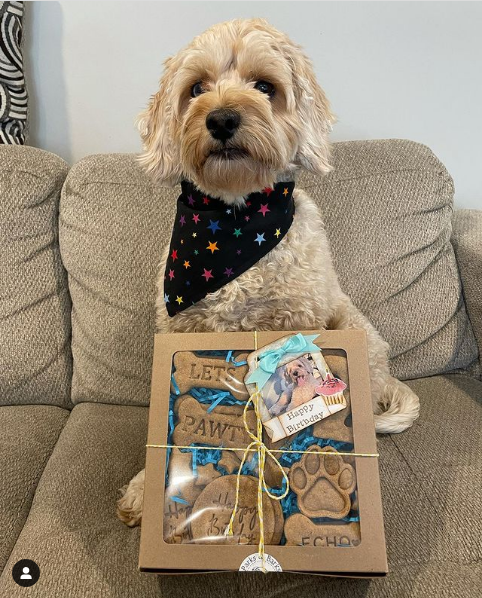 Birthday Treat Box (with birthday bandana)
