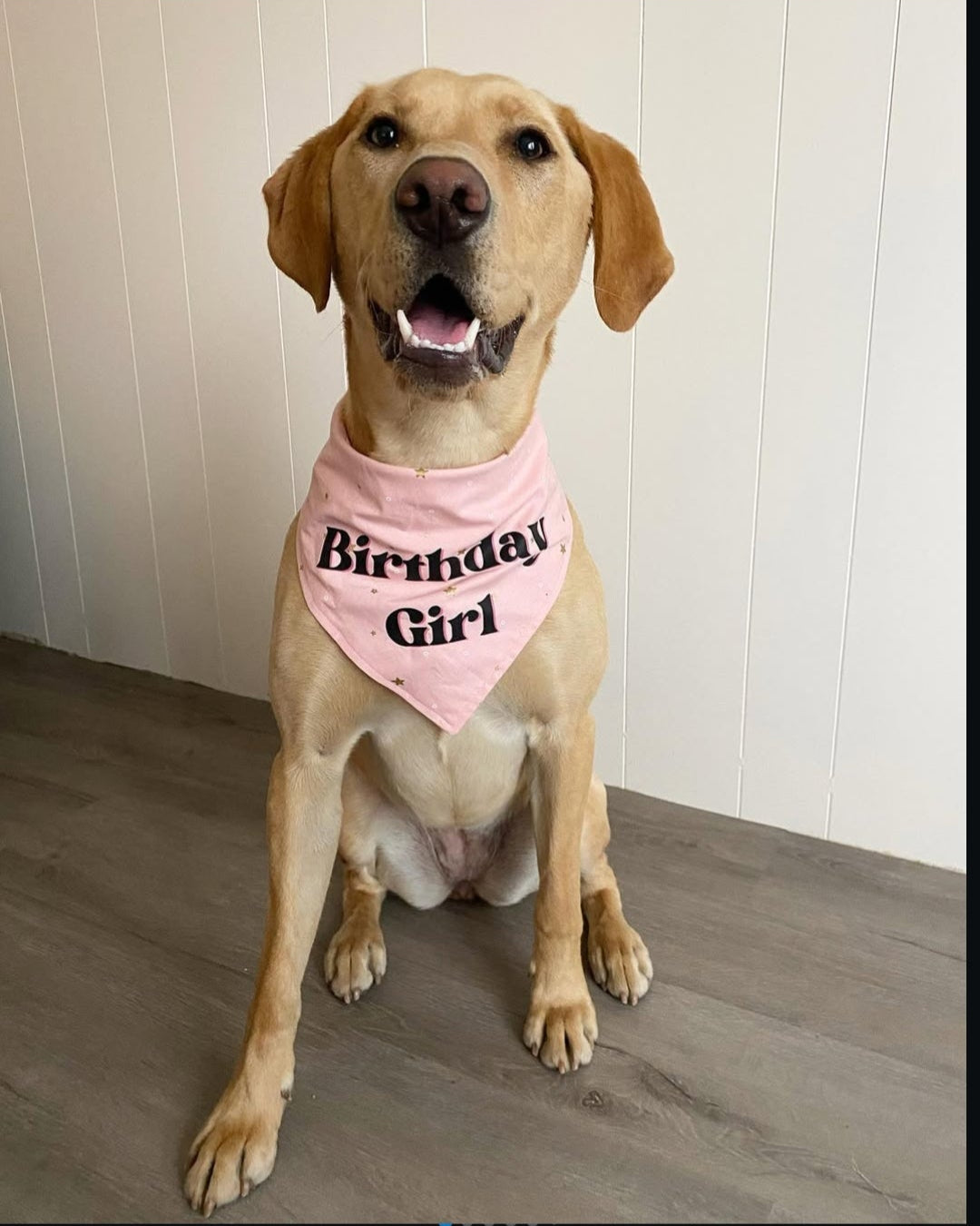 Birthday Girl Bandana