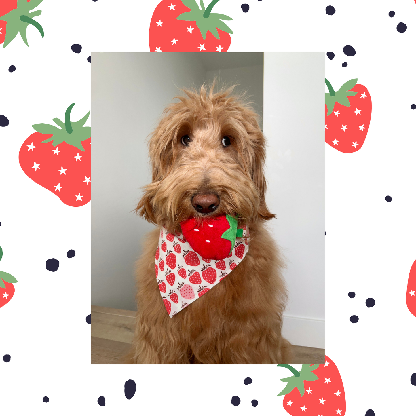 Strawberry Bandana