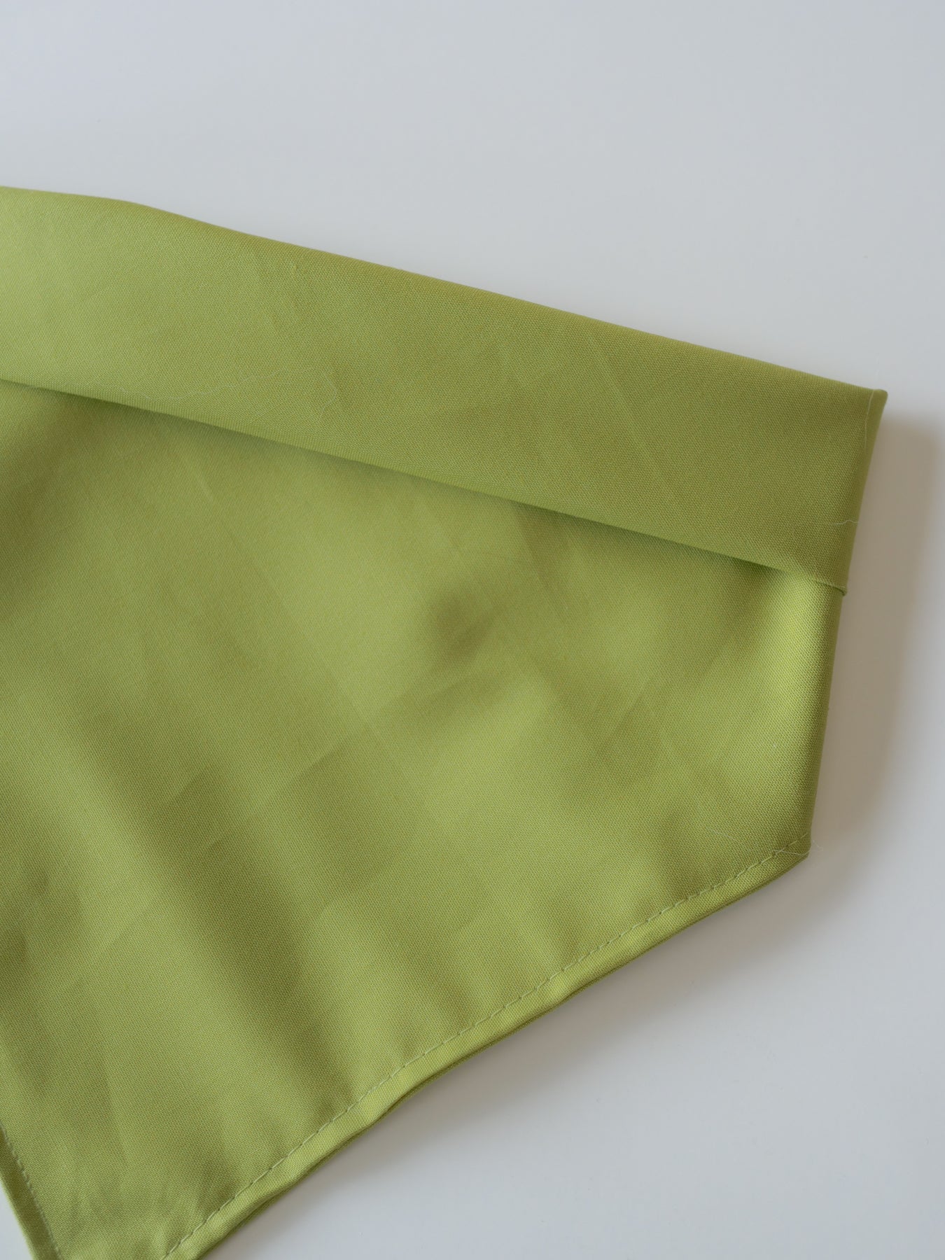 Retro Green Bandana