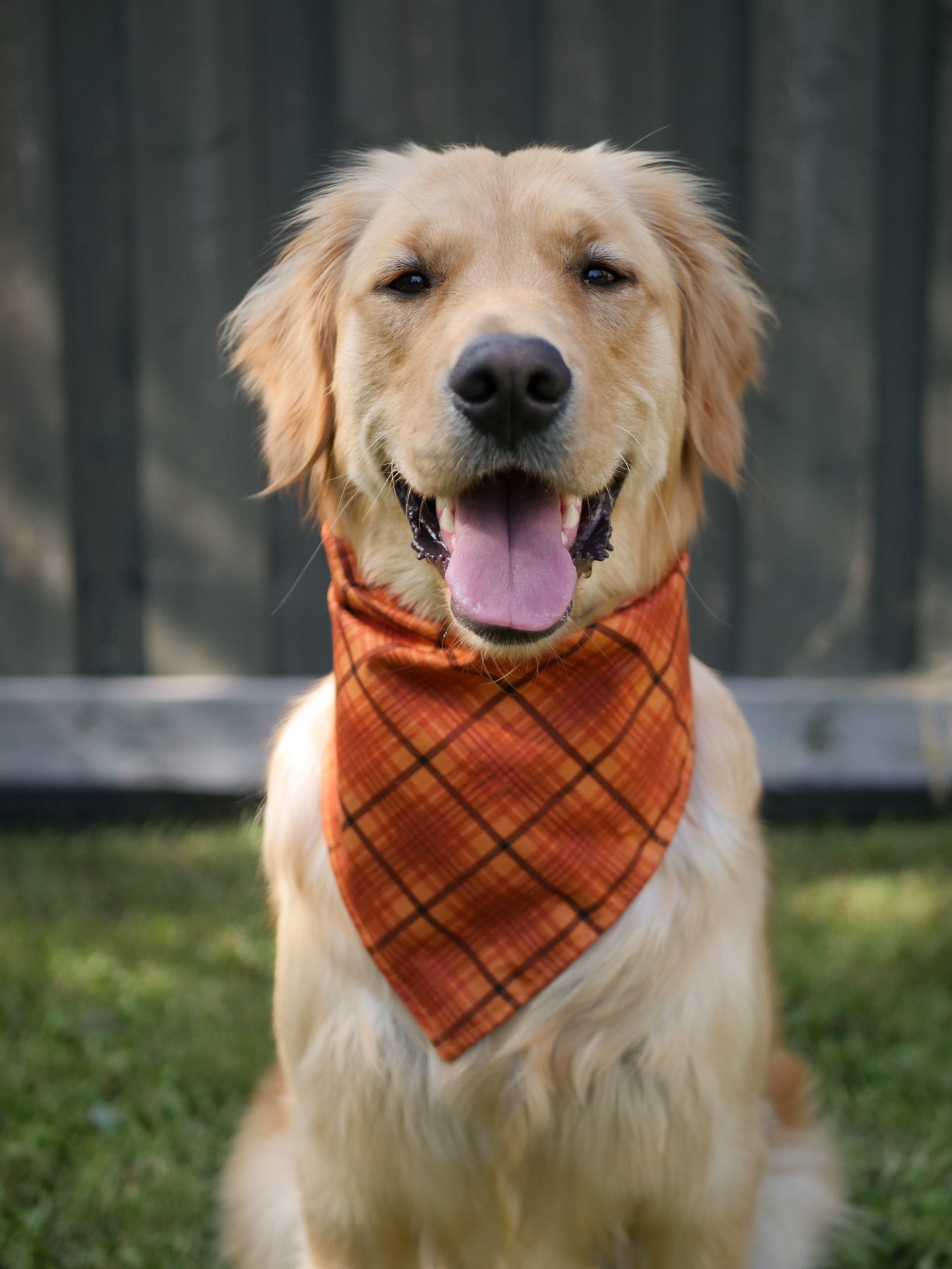 Autumn Plaid Bandana