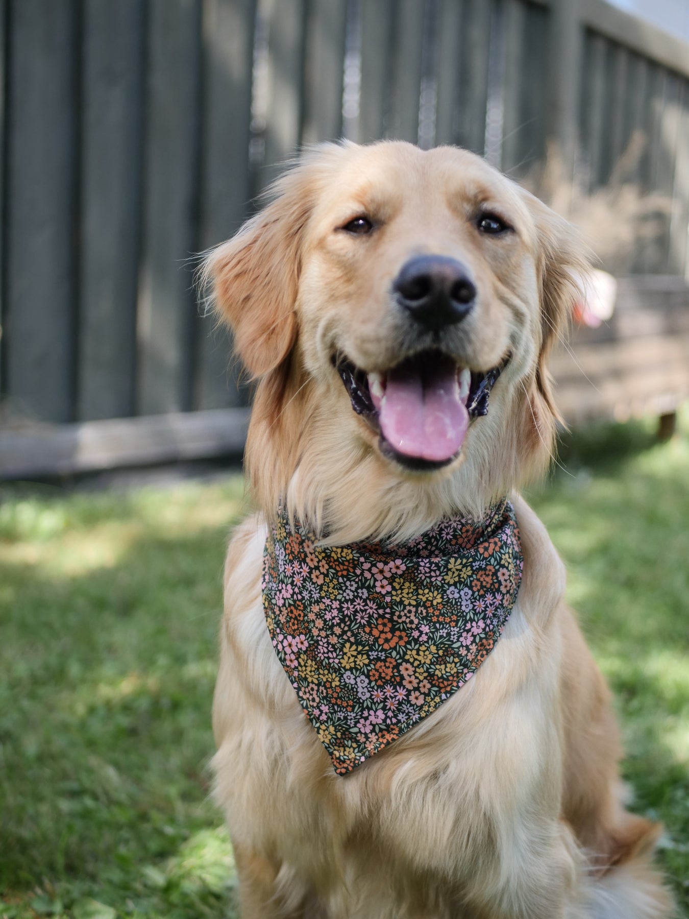 Fall Floral Bandana