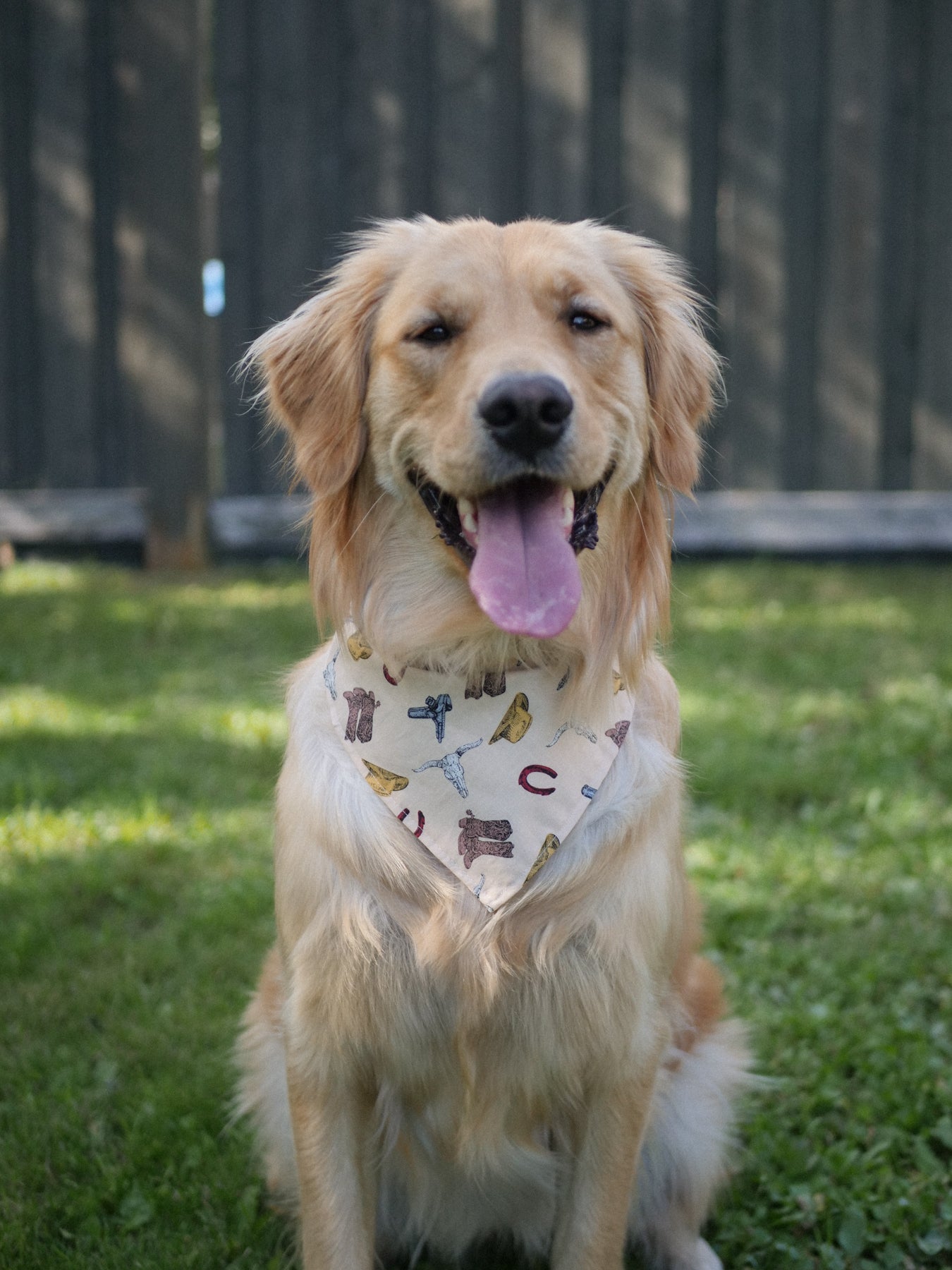 Western Theme Bandana