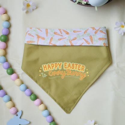 Reversible Carrot Bandana (with add-on!)