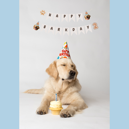 Birthday Banner (customizable!)