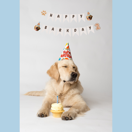 Birthday Banner (customizable!)