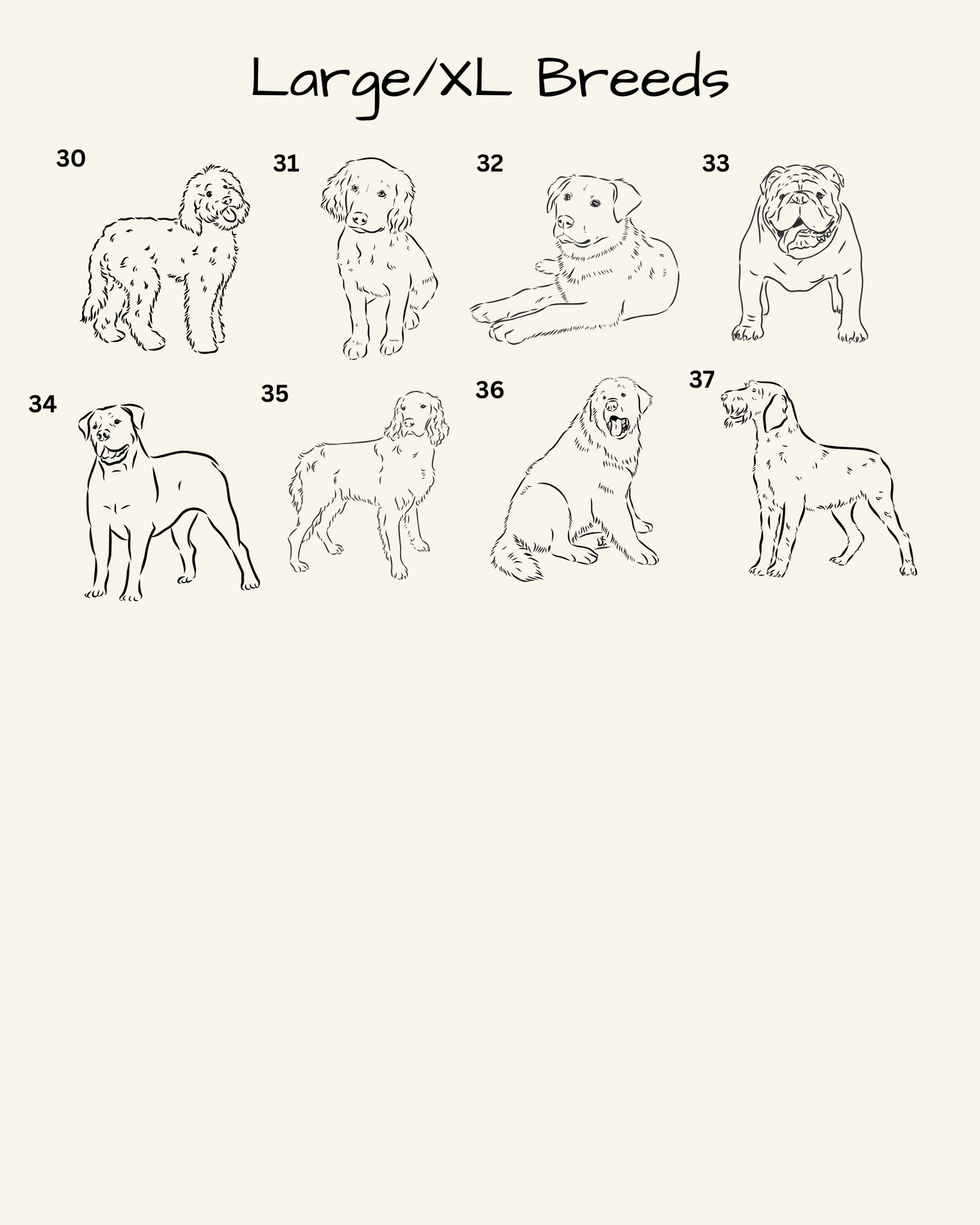 Custom Dog Breed & Name Print