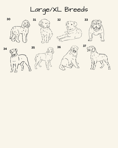 Custom Dog Breed & Name Print