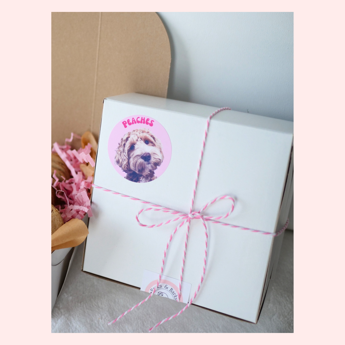 Build Your Own Dog Treat Box!