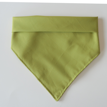 Retro Green Bandana