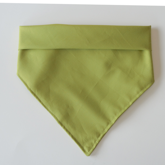 Retro Green Bandana