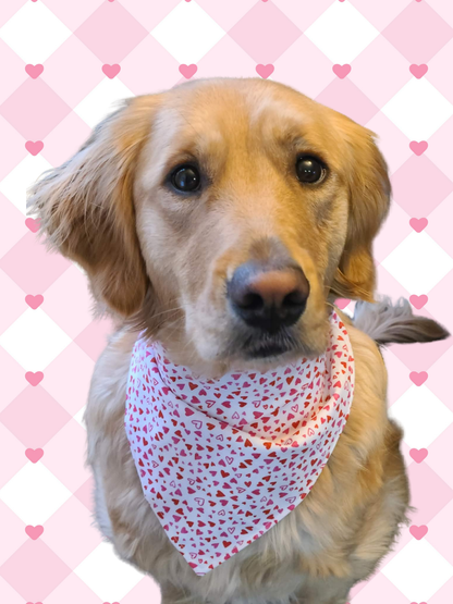 Be My Valentine Hearts Bandana