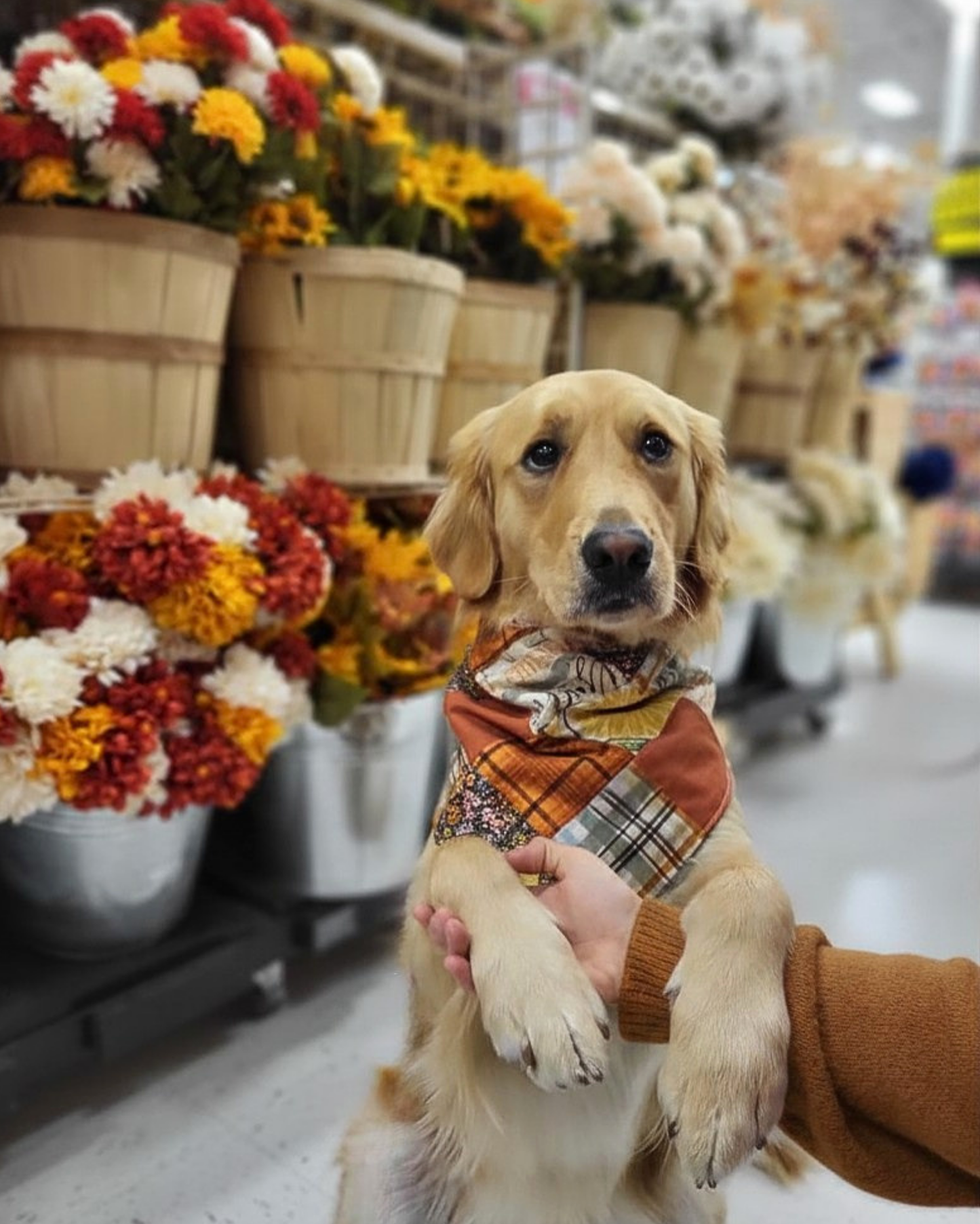 Fall Patchwork Bandanas