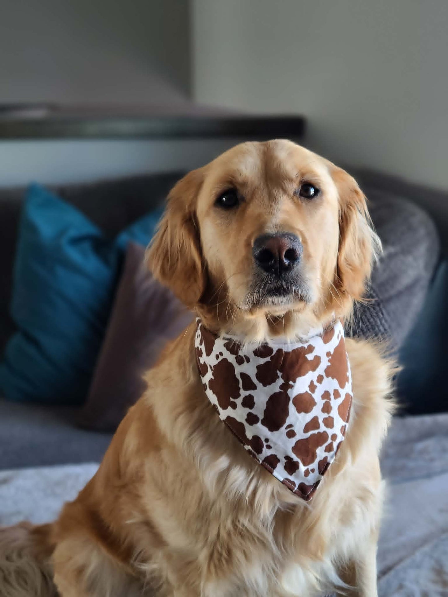 Brown Cow Print Dog Bandana