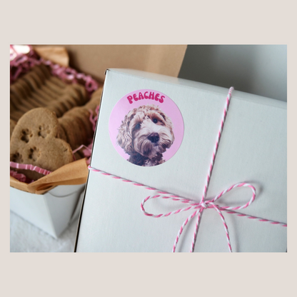 Personalized Dog Treat Box (Pink or Blue)