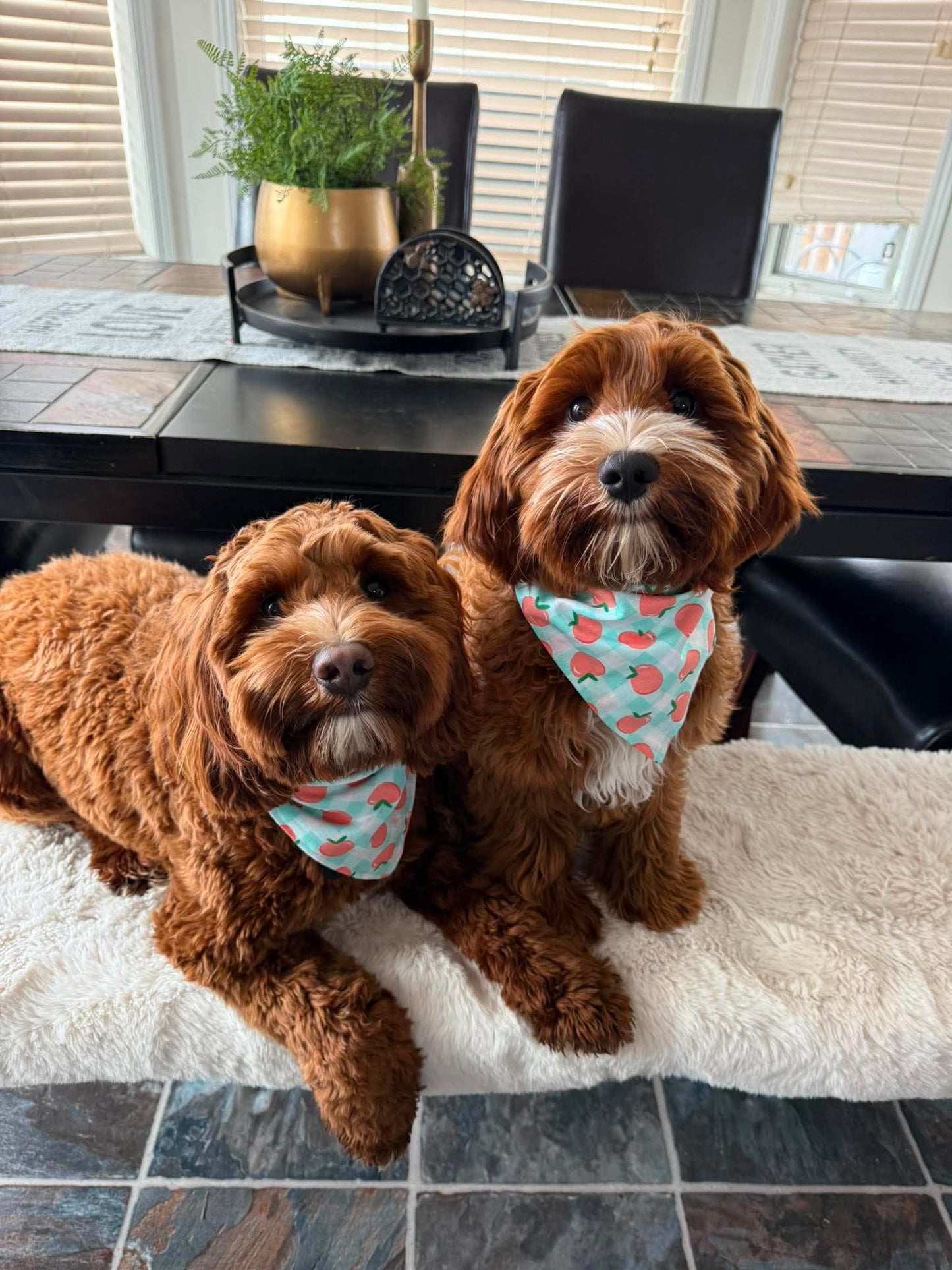 Peach Plaid Dog Bandana