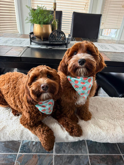 Peach Plaid Dog Bandana