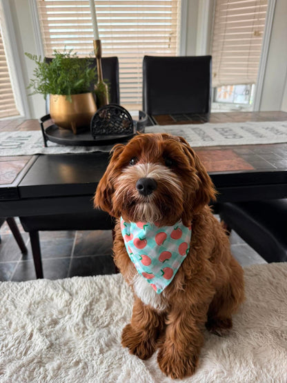 Peach Plaid Dog Bandana