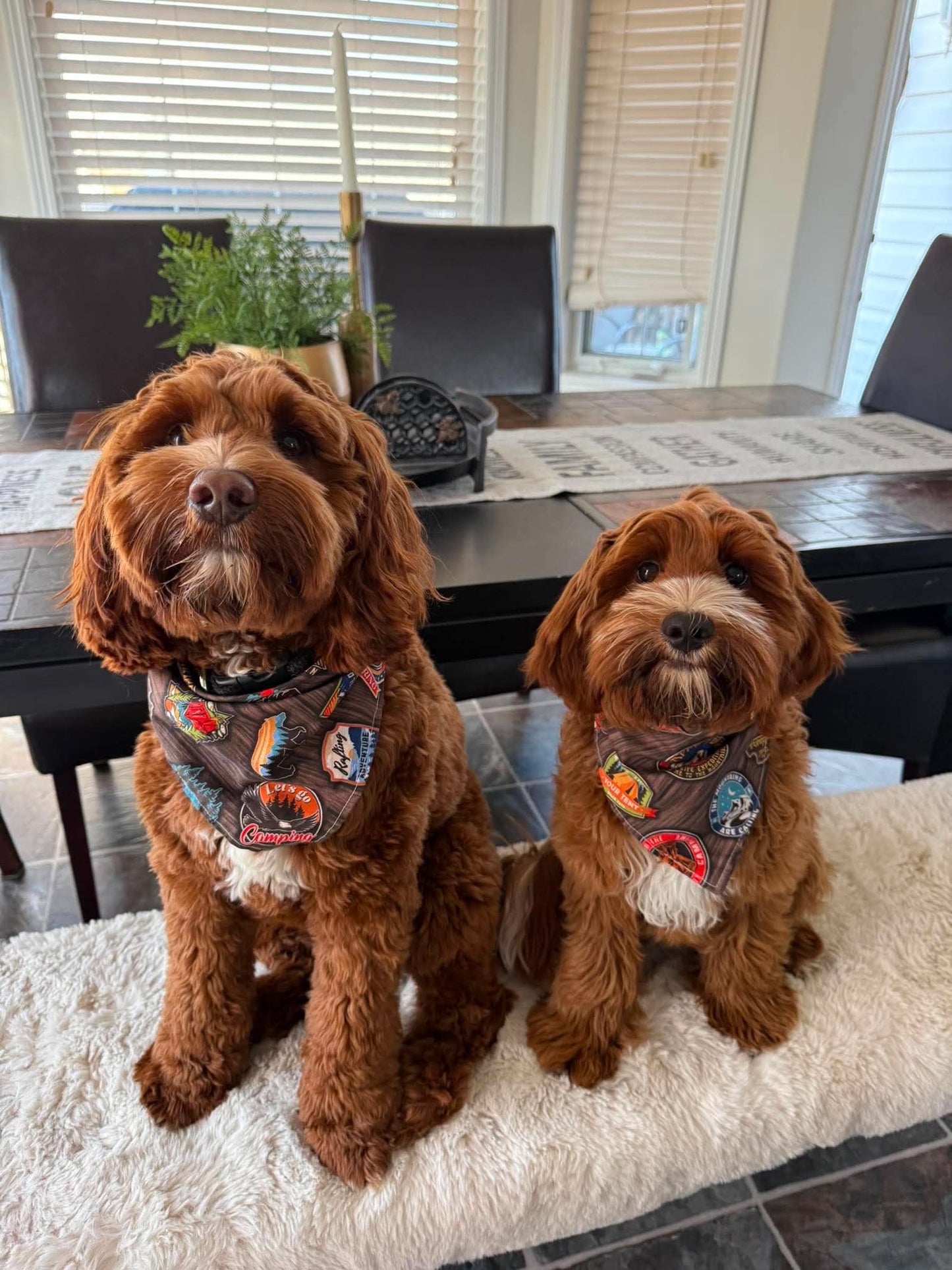 Camping Dog Bandana