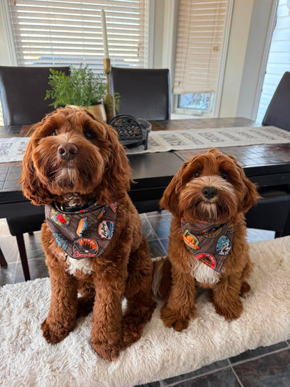 Camping Dog Bandana