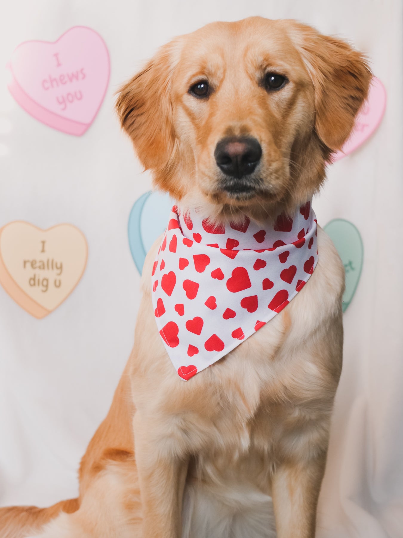 Hearts Bandana