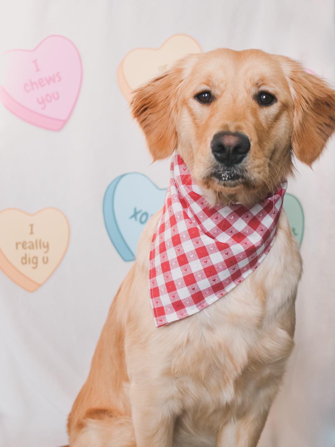Plaid with Hearts Bandana