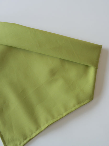 Retro Green Bandana