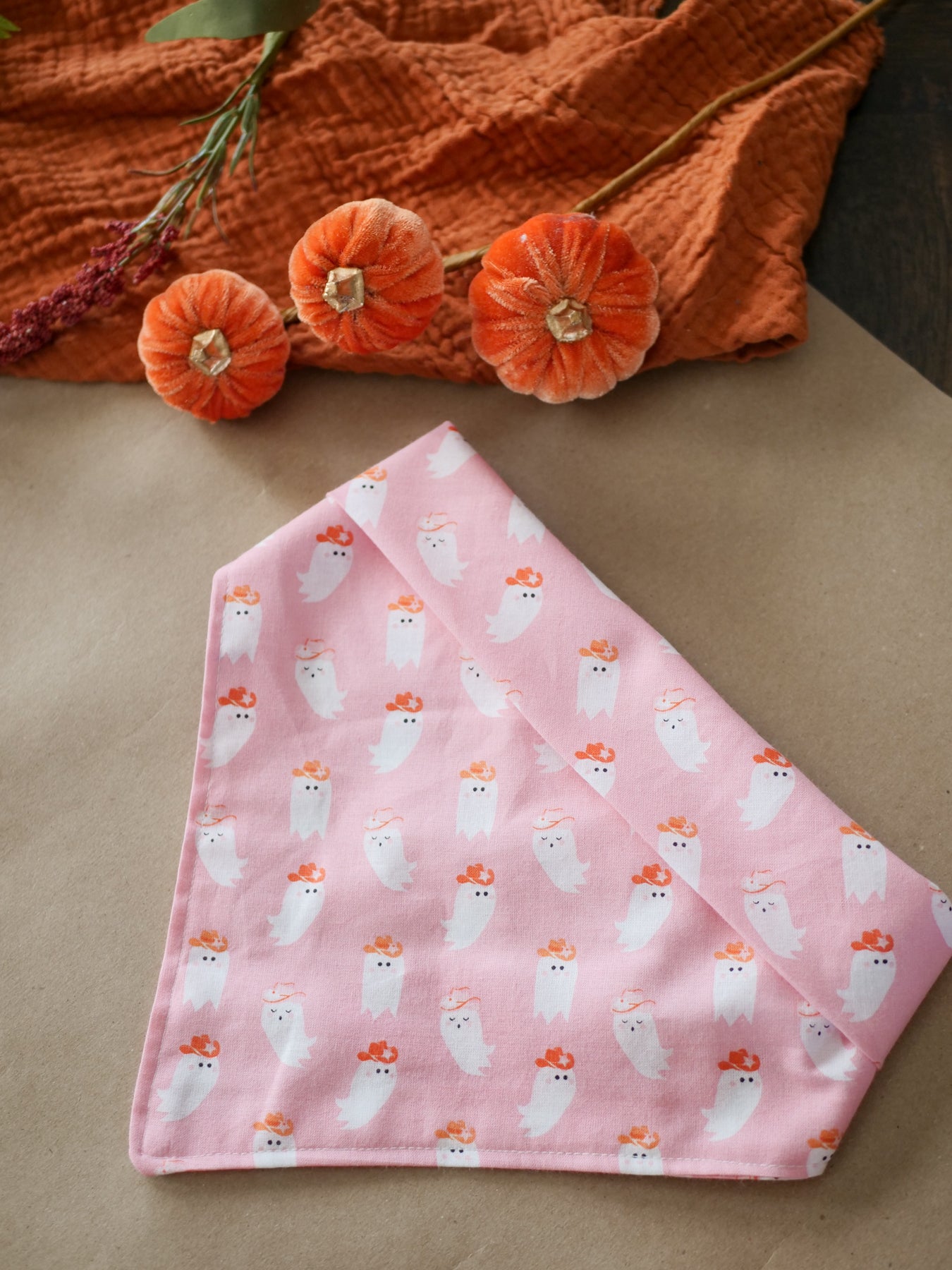 Western Ghost Bandana