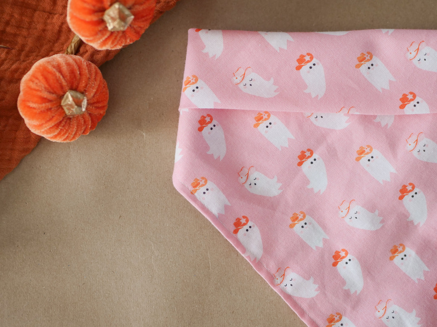 Western Ghost Bandana