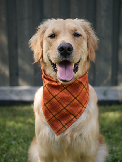 Autumn Plaid Bandana