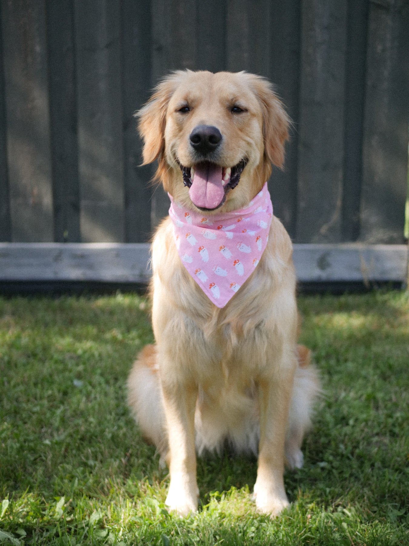 Western Ghost Bandana