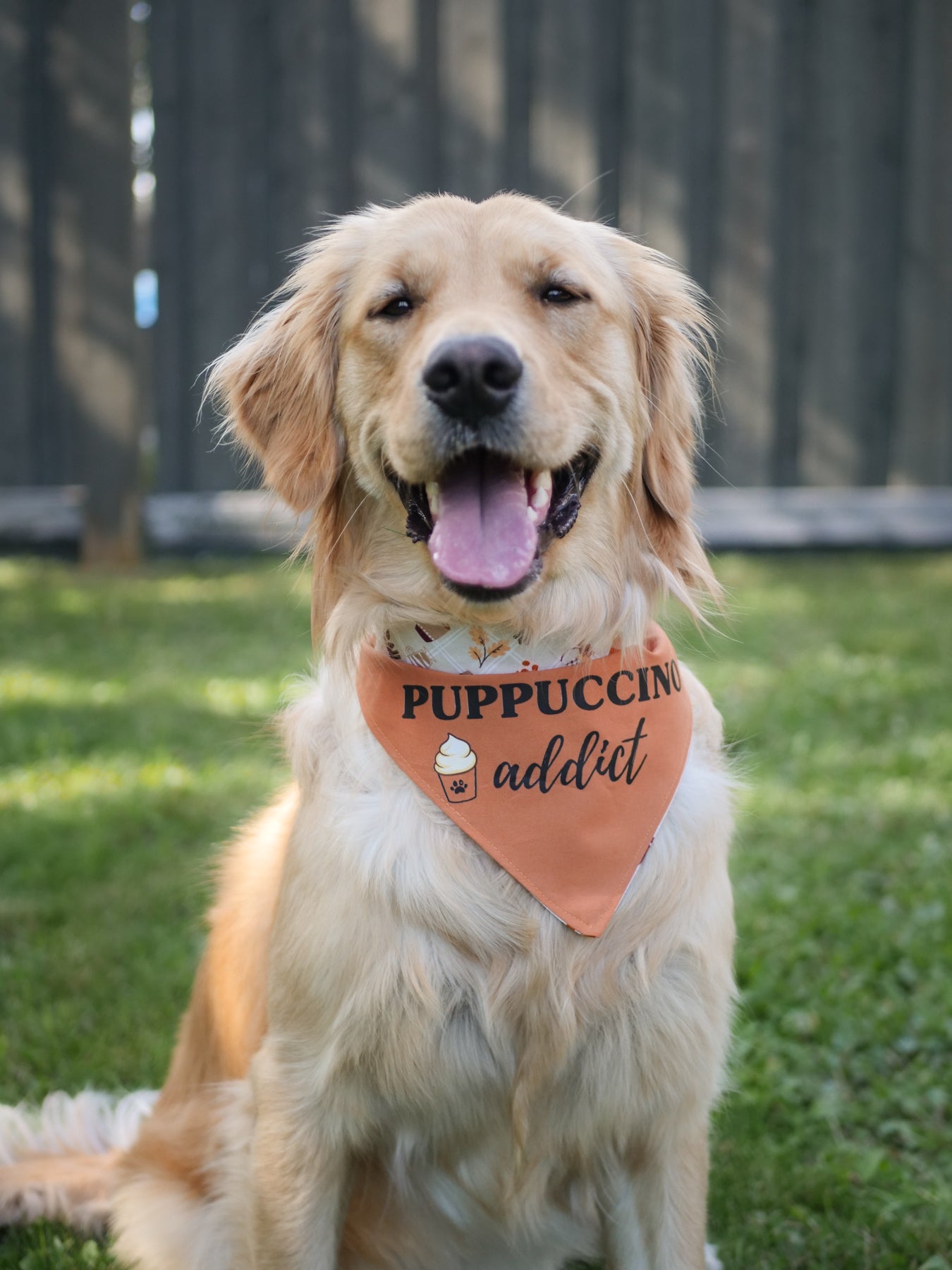 Reversible Puppuccino Addict Bandana