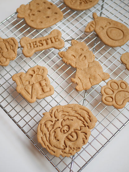 Build Your Own Dog Treat Box!