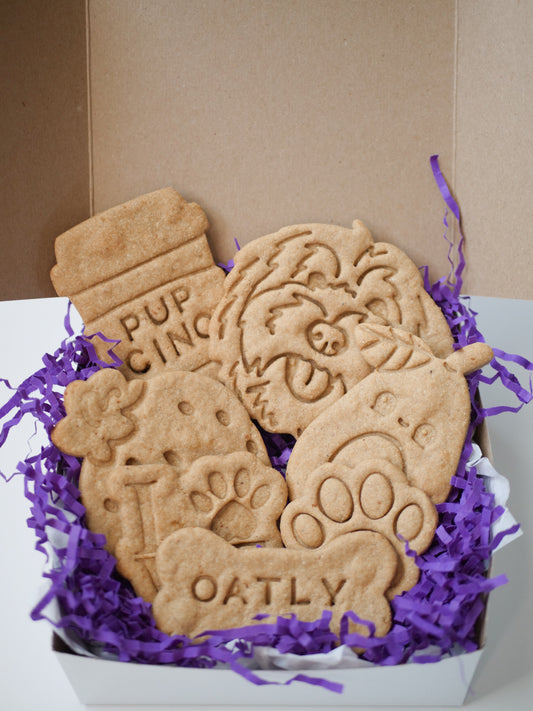 Build Your Own Dog Treat Box!