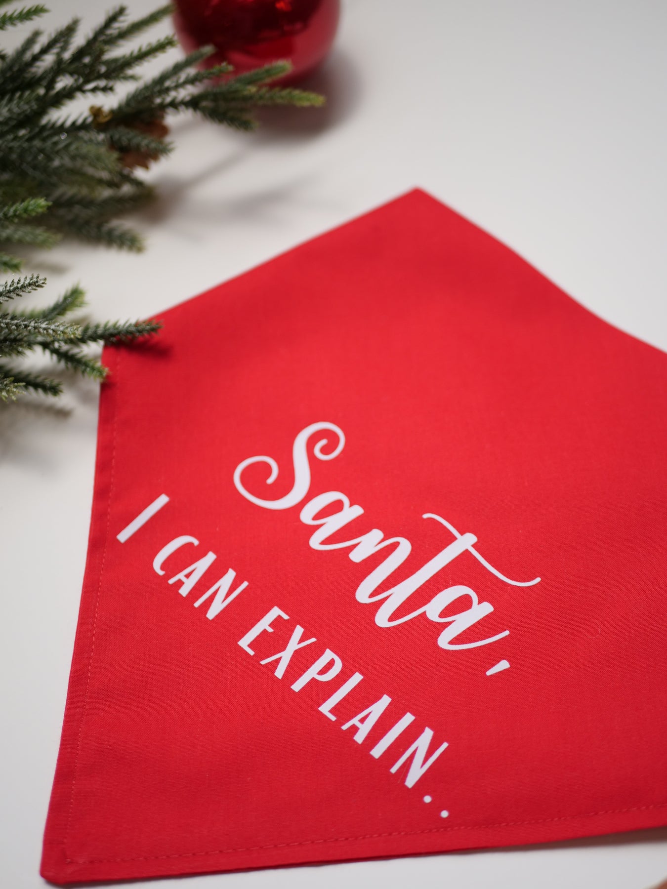 Santa, I Can Explain Bandana