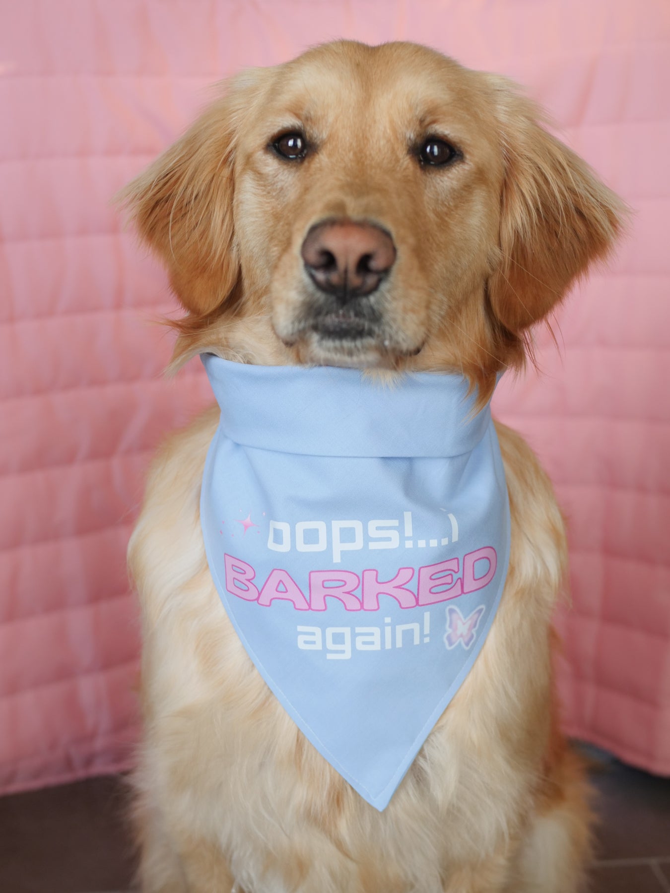 Oops, I Barked Again Dog Bandana