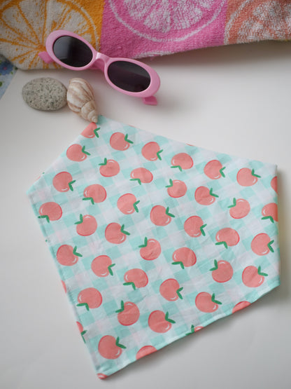Peach Plaid Dog Bandana